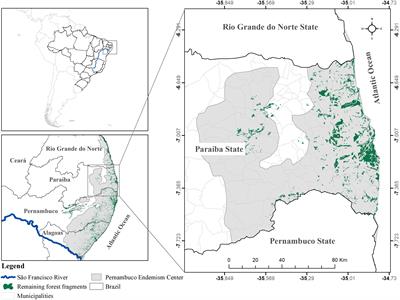 Conservation status of Brazilian snakes inhabiting the Atlantic Forest of Northeastern Brazil